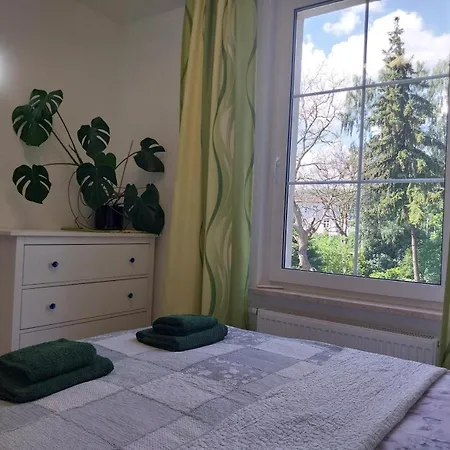 New Appartement *