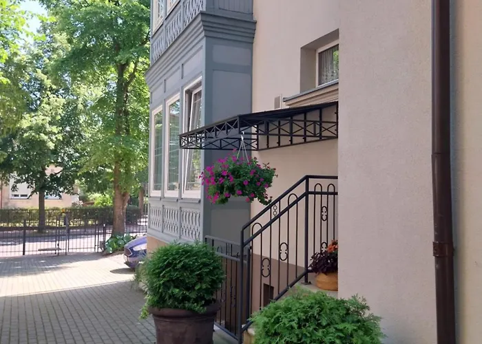 דירה New סופוט